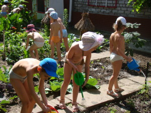 DSC08864