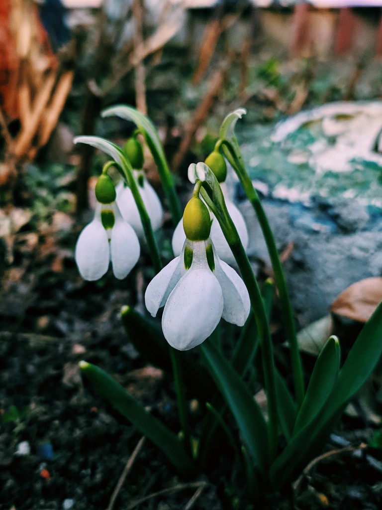 Processed with VSCO with c1 preset