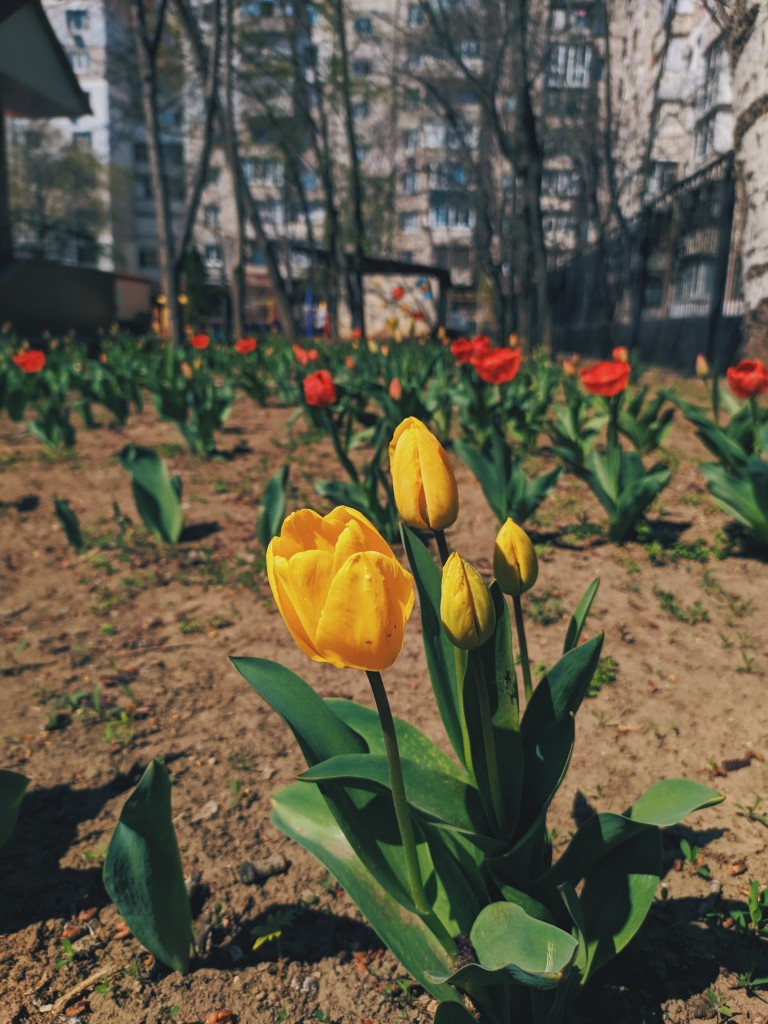 Processed with VSCO with hb2 preset